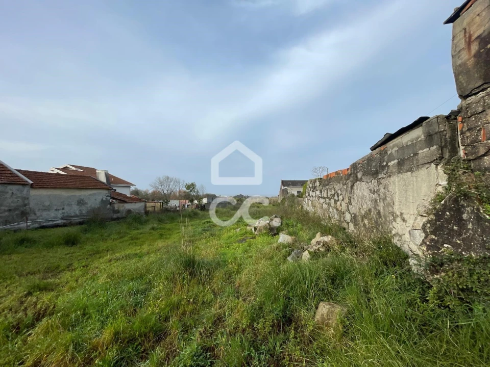 Terreno para Venda em Madalena Foto 12