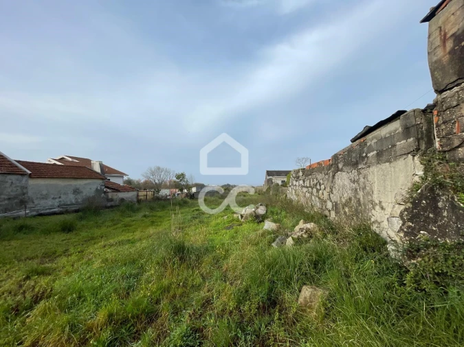 Terreno para Venda em Madalena Foto 12