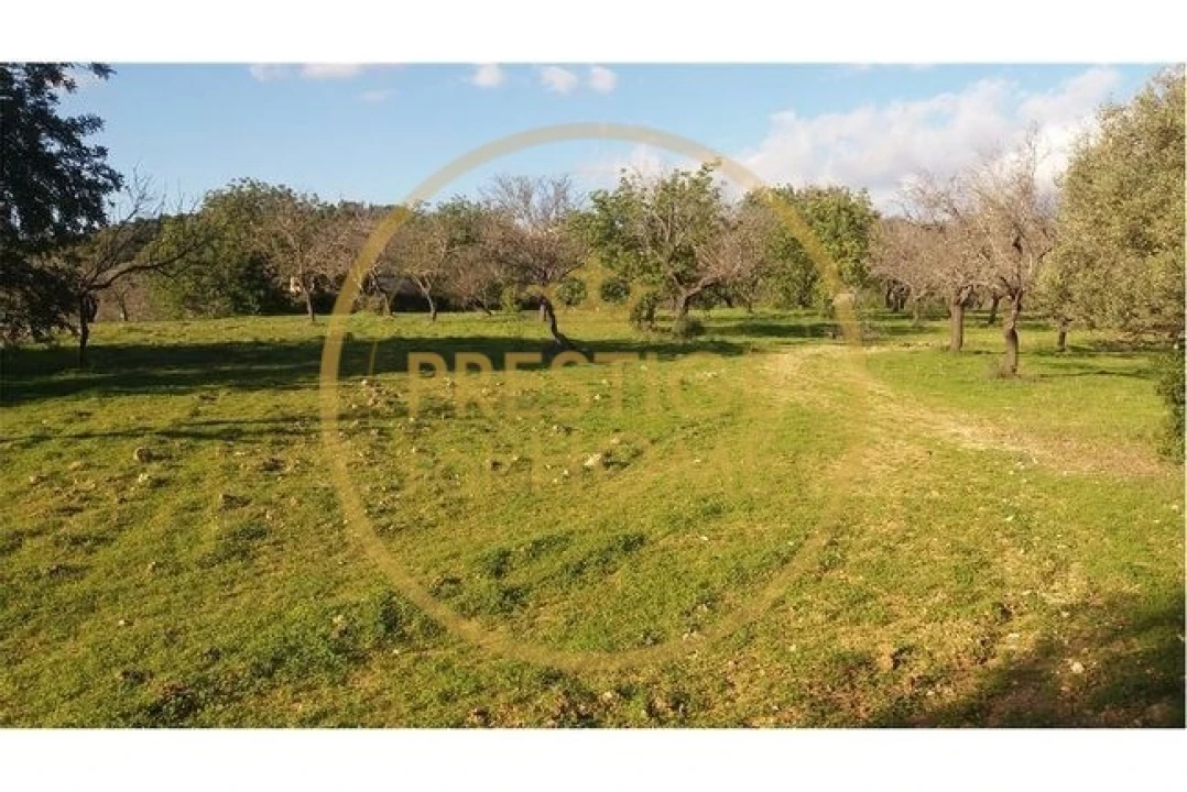 Terreno para Venda em Boliqueime Foto 10