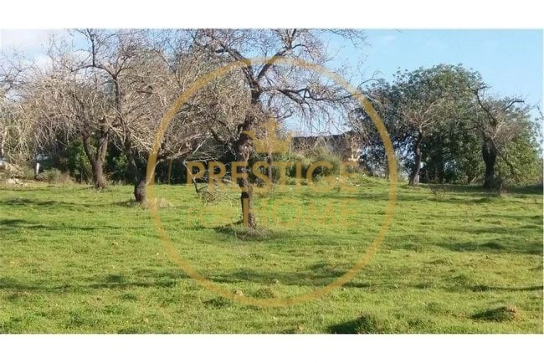 Terreno para Venda em Boliqueime Foto 5