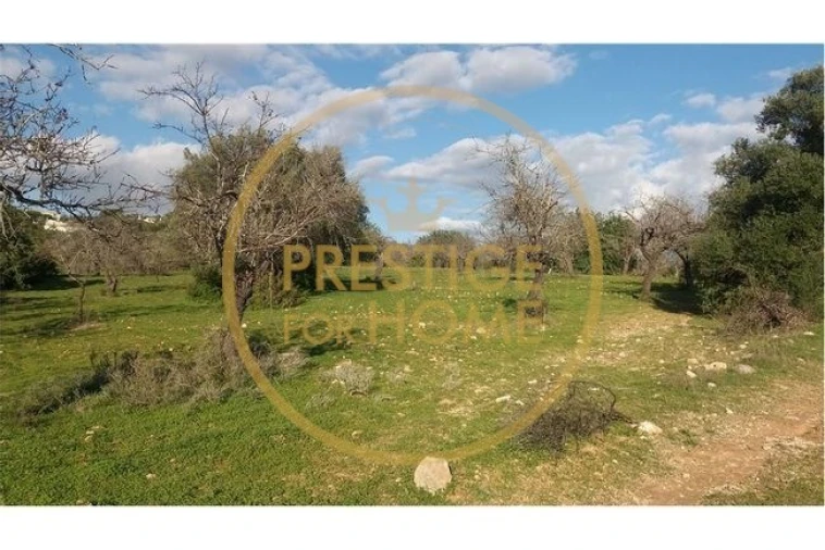 Terreno para Venda em Boliqueime Foto 8