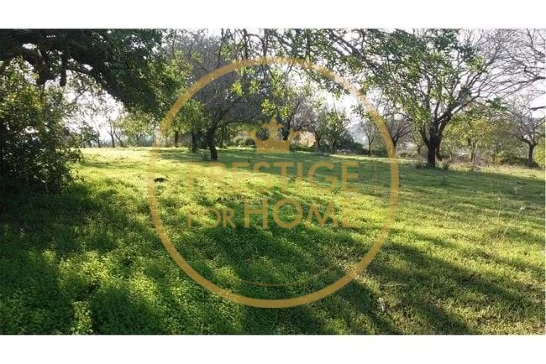 Terreno para Venda em Boliqueime Foto 12