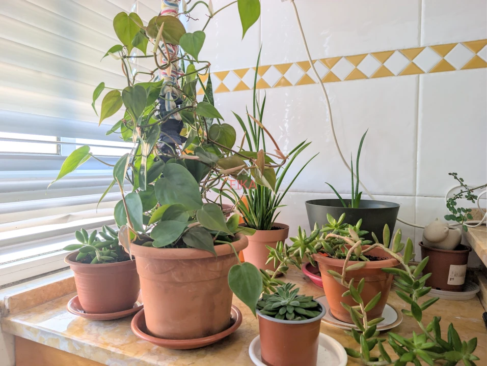 Apartamento T3 para Venda em Amora Foto 8