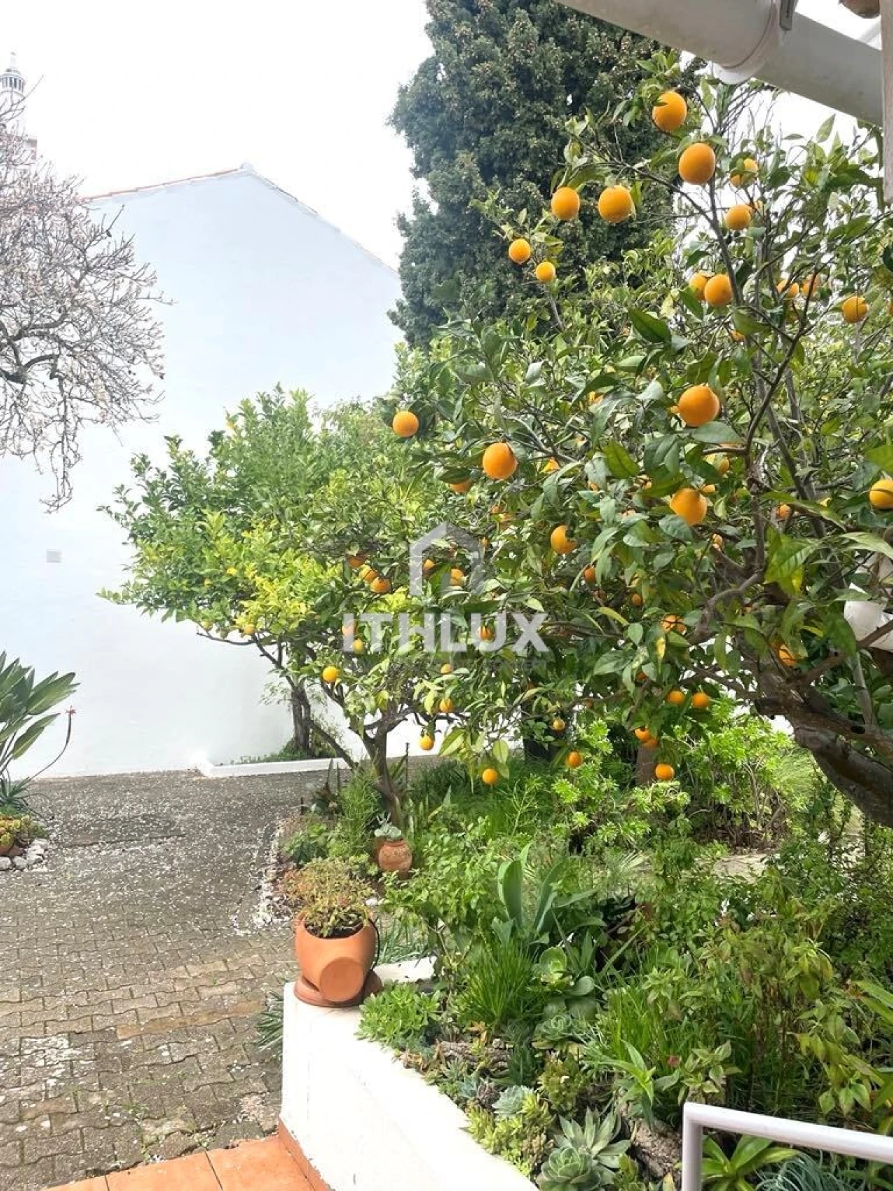 Moradia T3 para Venda em Tavira (Santa Maria e Santiago) Foto 24