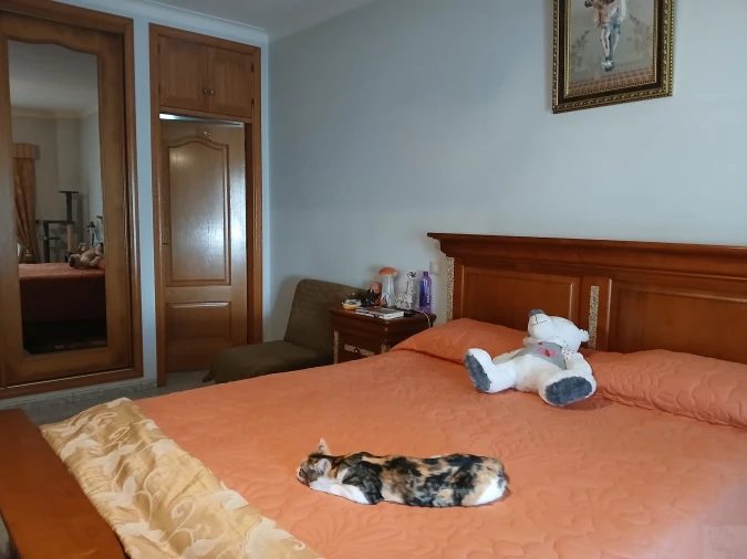 Moradia T6 para Venda em Lagoa e Carvoeiro Foto 21