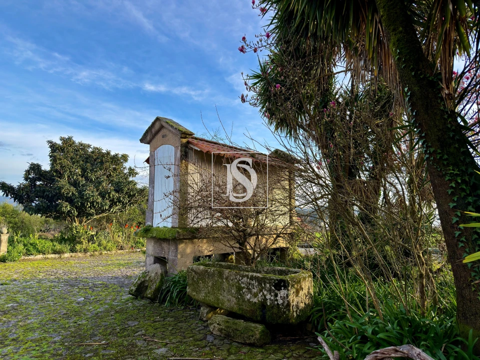 Quinta T8 para Venda em Santa Maria Maior e Monserrate e Meadela Foto 39