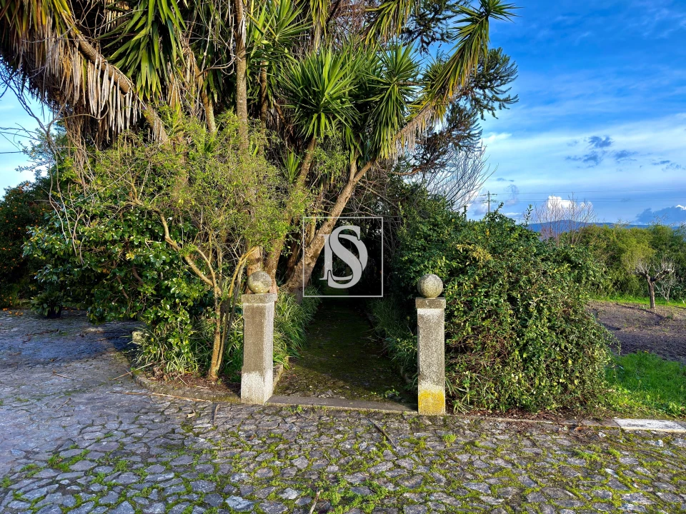 Quinta T8 para Venda em Santa Maria Maior e Monserrate e Meadela Foto 40