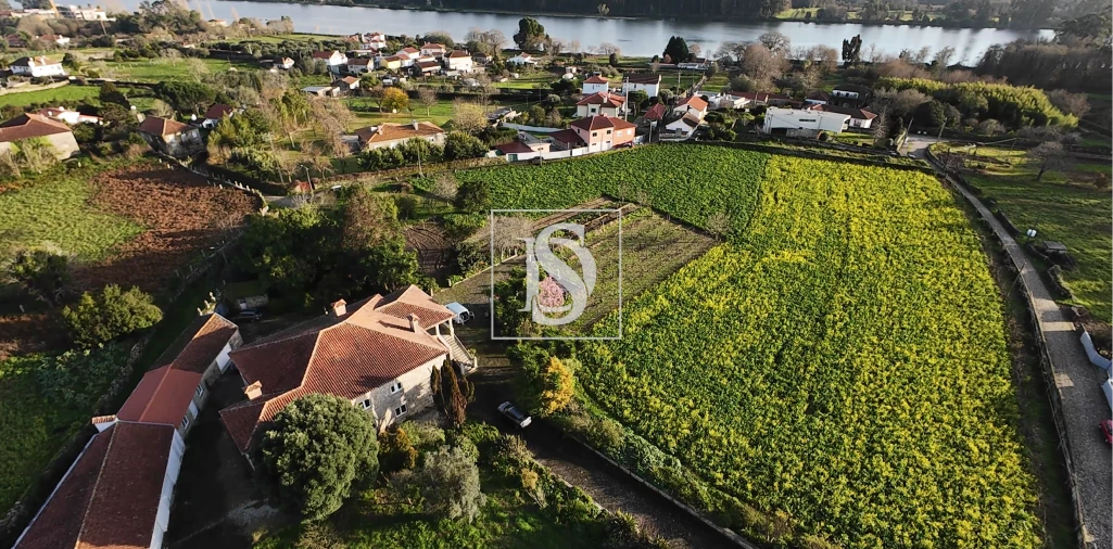 Quinta T8 para Venda em Santa Maria Maior e Monserrate e Meadela Foto 5