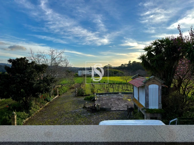 Quinta T8 para Venda em Santa Maria Maior e Monserrate e Meadela Foto 38