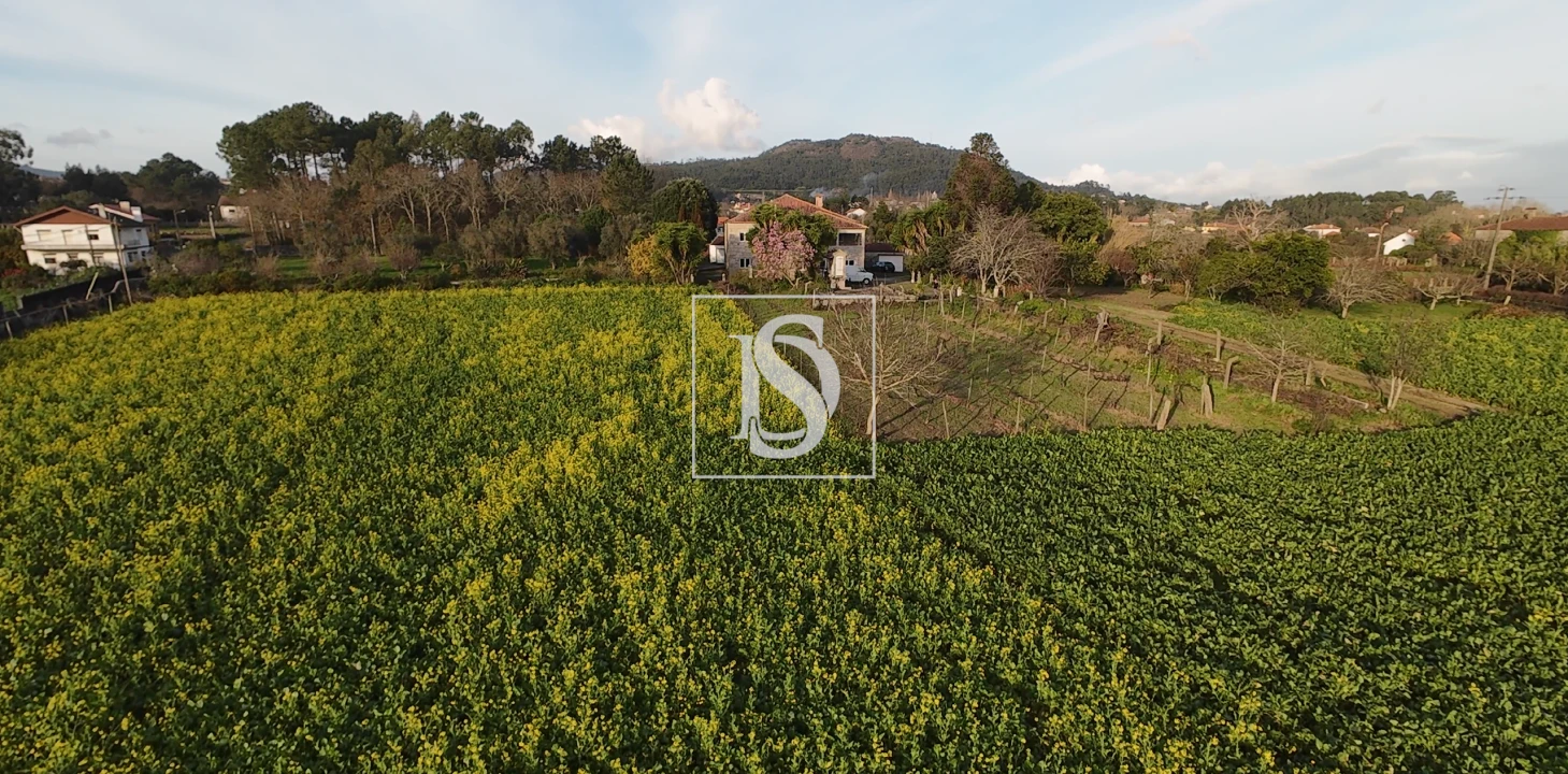 Quinta T8 para Venda em Santa Maria Maior e Monserrate e Meadela Foto 13