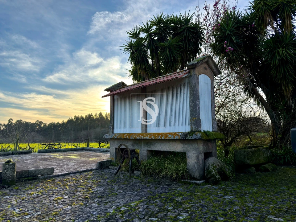 Quinta T8 para Venda em Santa Maria Maior e Monserrate e Meadela Foto 41
