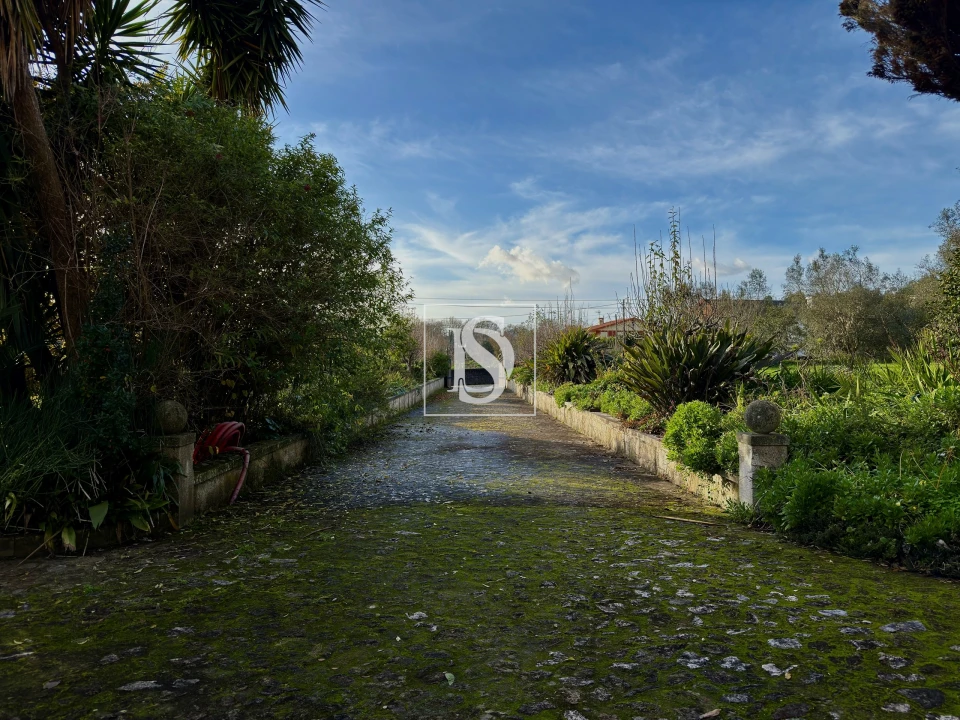 Quinta T8 para Venda em Santa Maria Maior e Monserrate e Meadela Foto 12