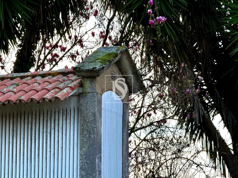 Quinta T8 para Venda em Santa Maria Maior e Monserrate e Meadela Foto 4