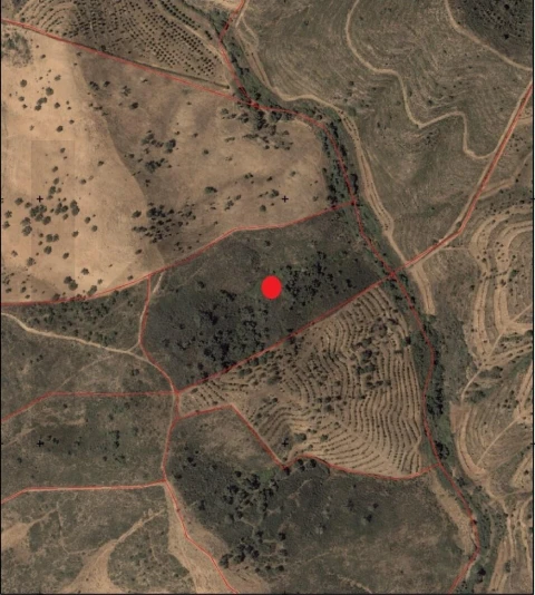 Terreno para Venda em Santana da Serra