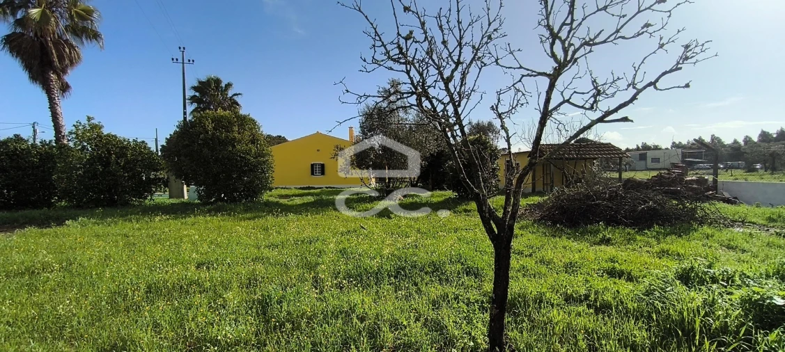 Moradia T3 para Venda em Salvaterra de Magos e Foros de Salvaterra Foto 43