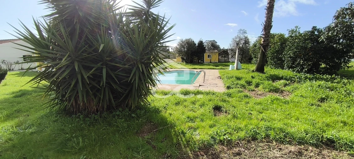 Moradia T3 para Venda em Salvaterra de Magos e Foros de Salvaterra Foto 14