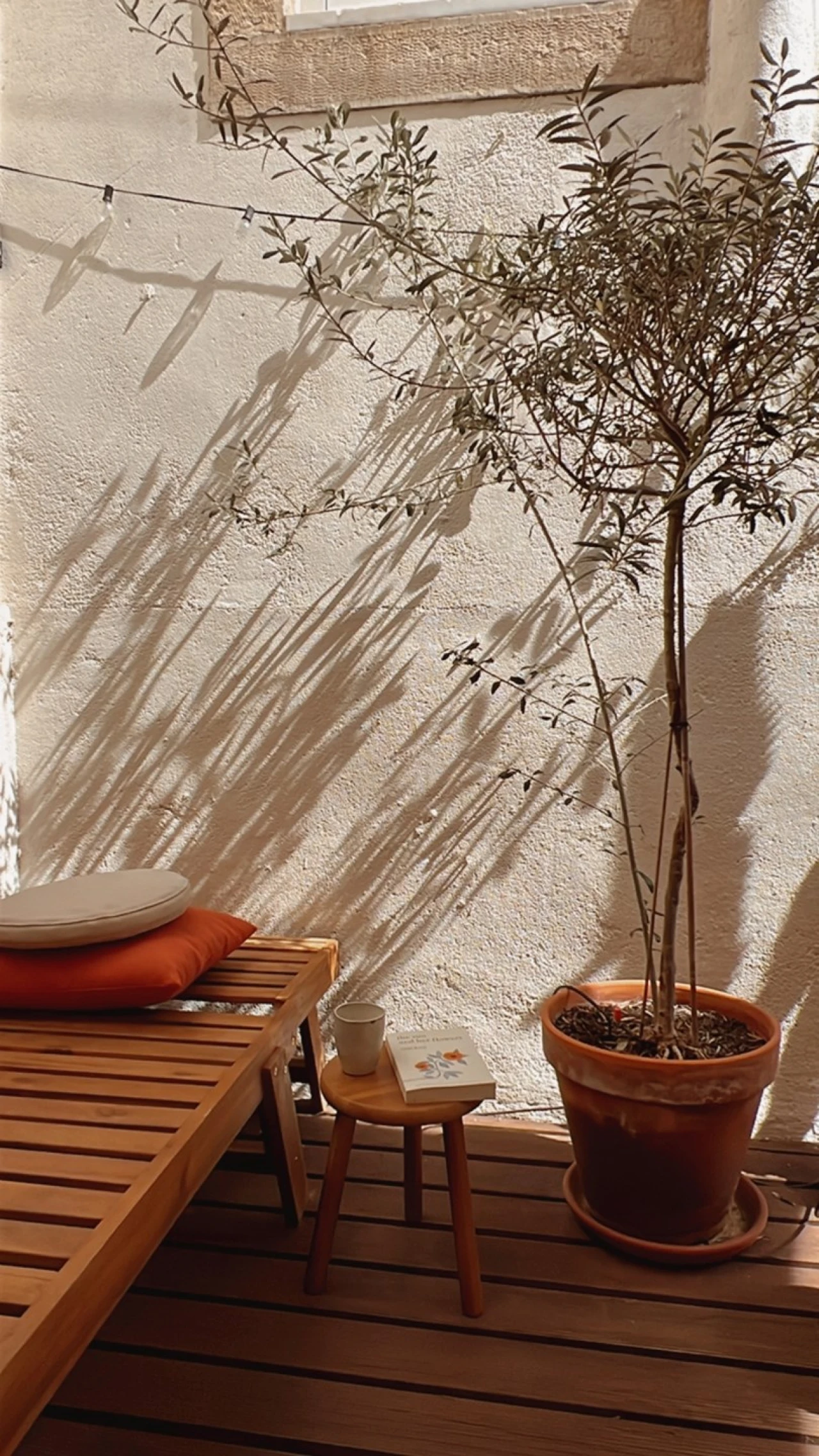 Apartamento T1 para Venda em São Vicente Foto 11