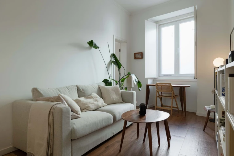 Apartamento T1 para Venda em São Vicente Foto 8