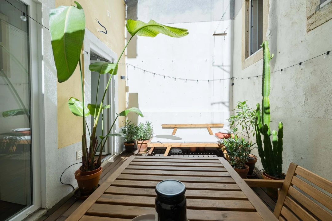 Apartamento T1 para Venda em São Vicente Foto 25