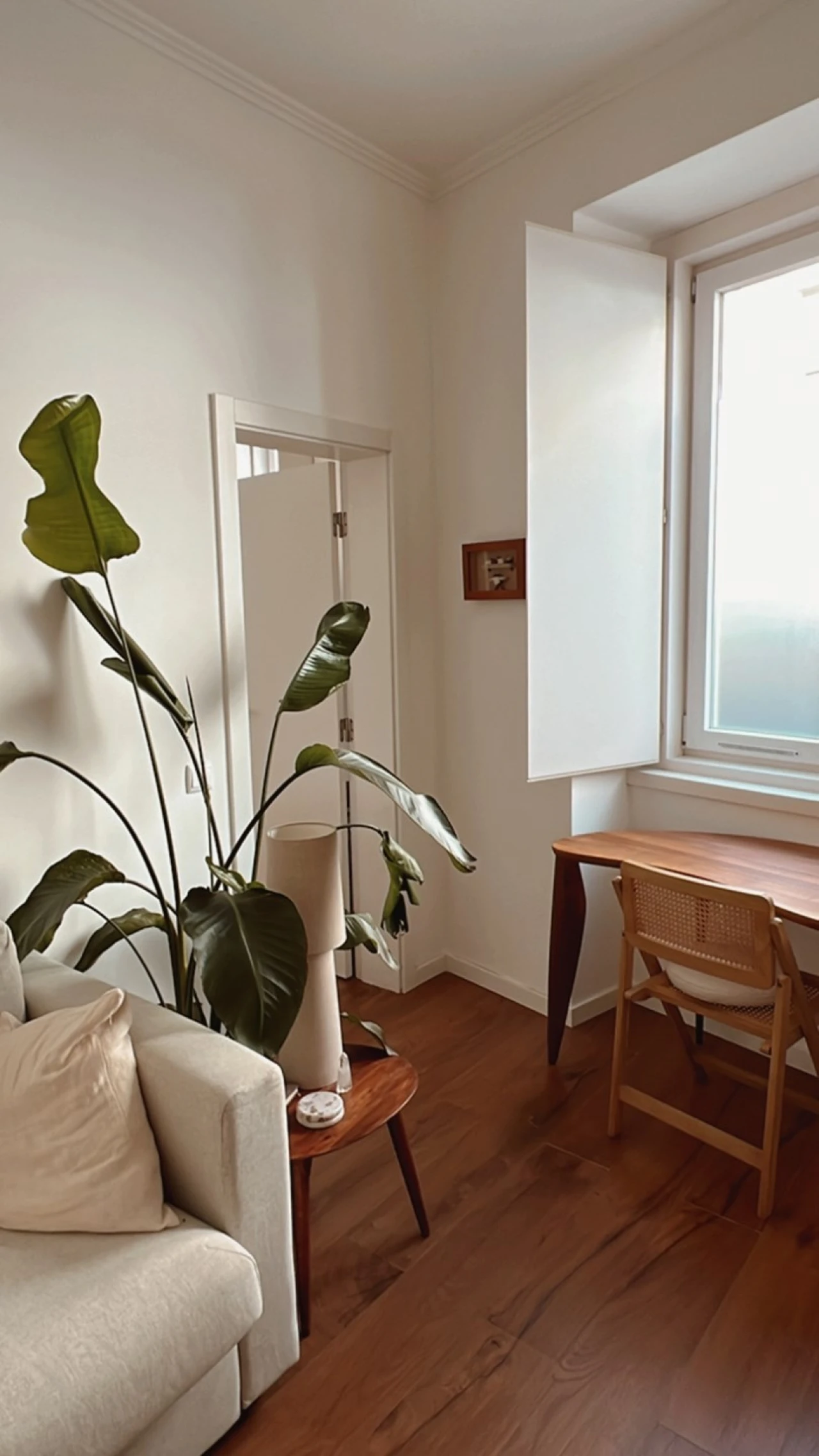 Apartamento T1 para Venda em São Vicente Foto 15