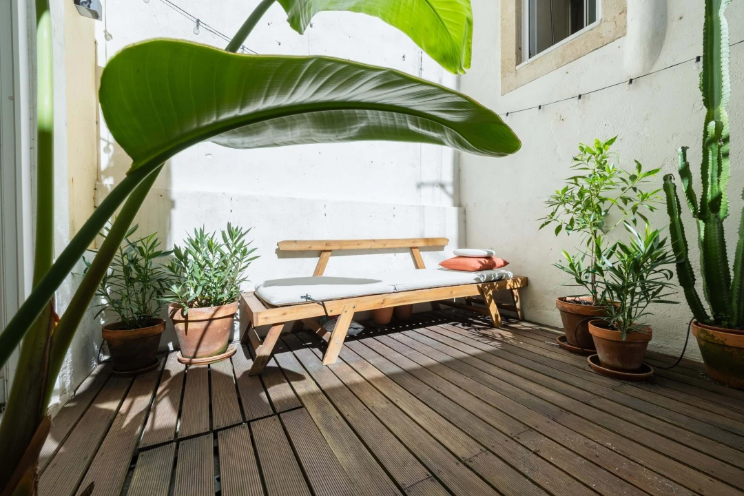 Apartamento T1 para Venda em São Vicente Foto 24