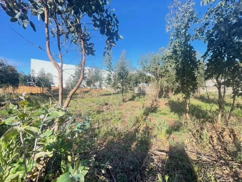 Terreno para Venda em Canelas Foto 10