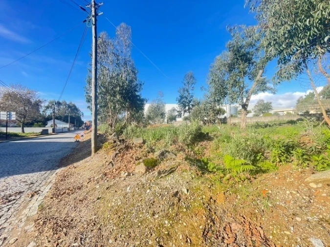 Terreno para Venda em Canelas Foto 3