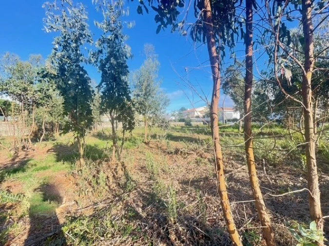 Terreno para Venda em Canelas Foto 8