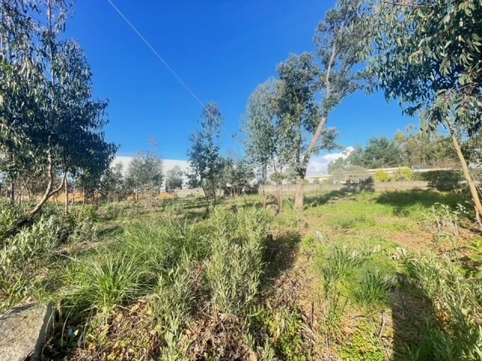 Terreno para Venda em Canelas Foto 11