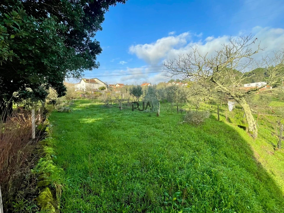 Terreno Misto para Venda em Lajeosa do Dão Foto 4