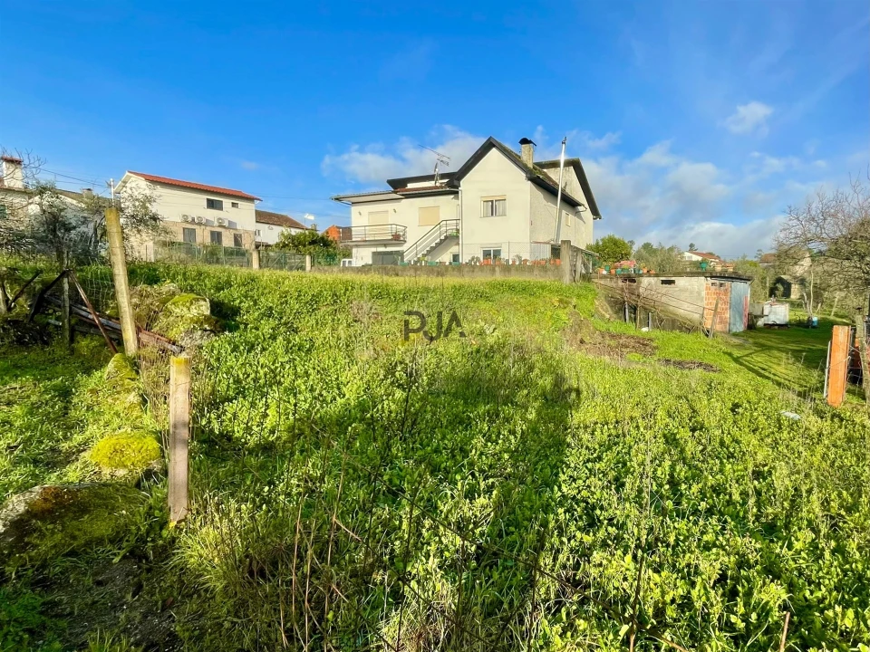 Terreno Misto para Venda em Lajeosa do Dão Foto 5