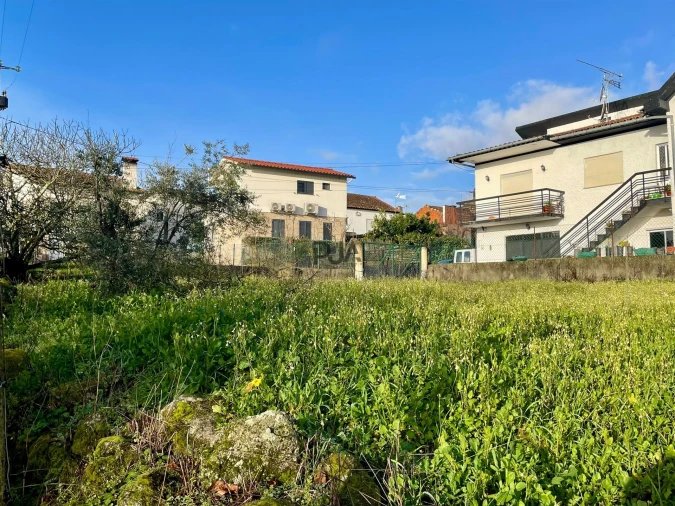 Terreno Misto para Venda em Lajeosa do Dão Foto 3