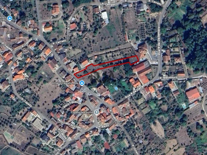 Terreno Misto para Venda em Lajeosa do Dão Foto 8