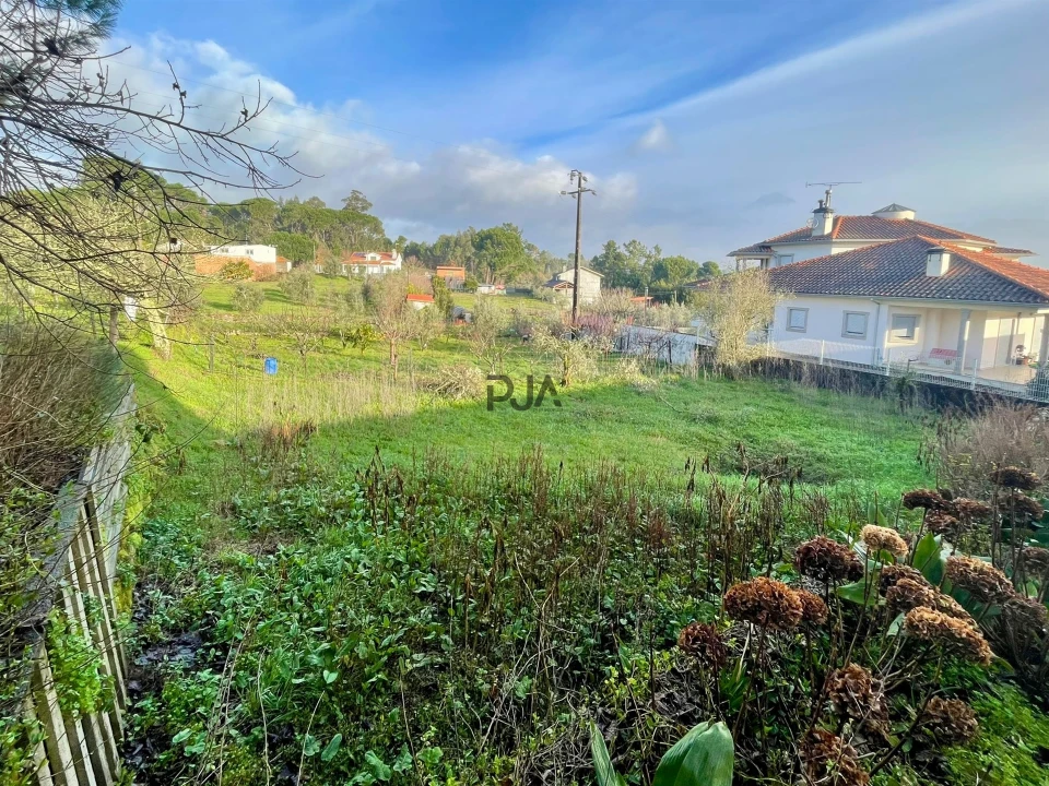 Terreno Misto para Venda em Lajeosa do Dão Foto 6