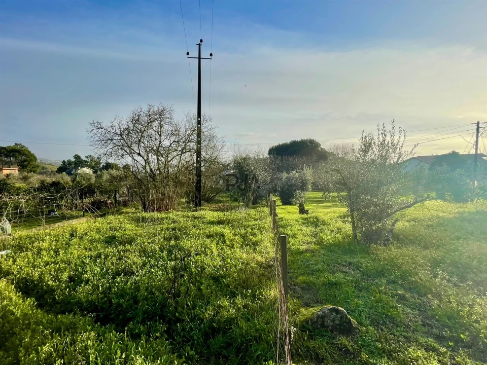 Terreno Misto para Venda em Lajeosa do Dão Foto 2