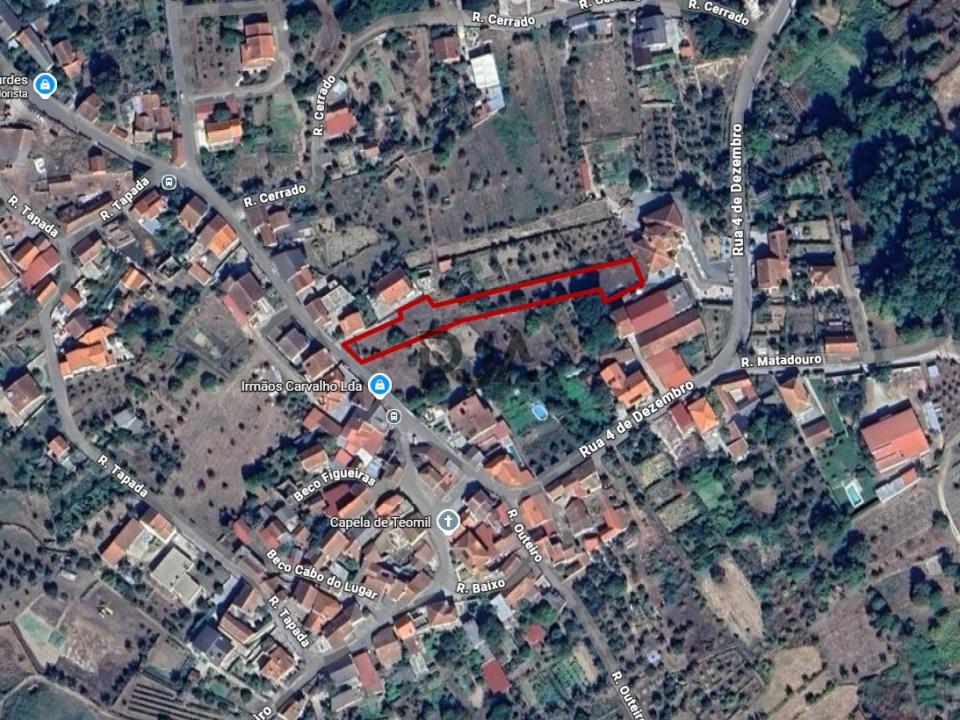 Terreno Misto para Venda em Lajeosa do Dão Foto 8