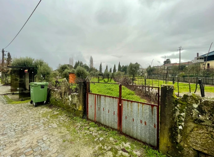 Terreno Agricola ou Rústico para Venda em Santar e Moreira Foto 2