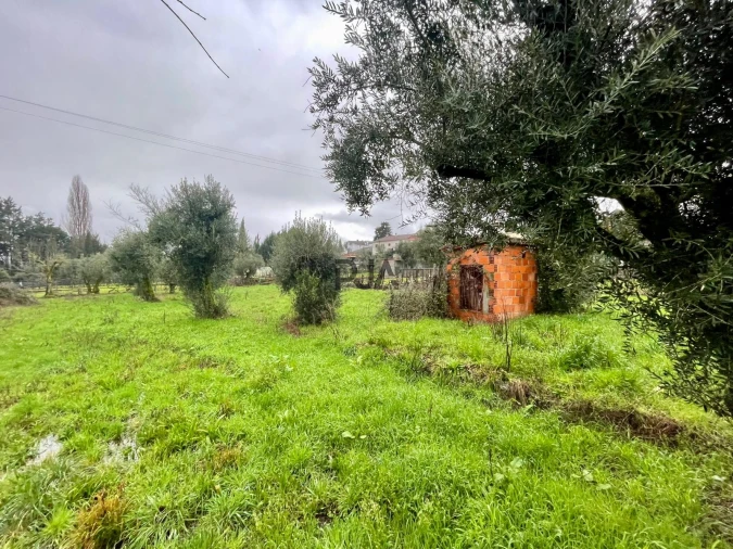 Terreno Agricola ou Rústico para Venda em Santar e Moreira Foto 4