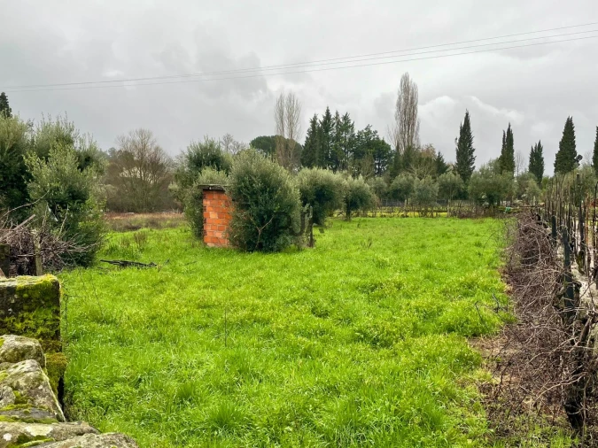 Terreno Agricola ou Rústico para Venda em Santar e Moreira Foto 1