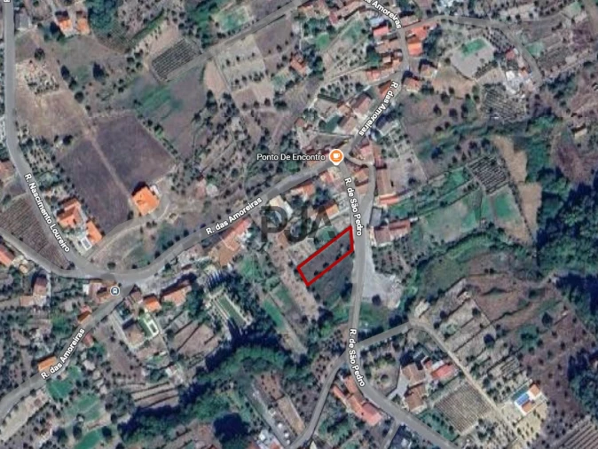 Terreno Agricola ou Rústico para Venda em Santar e Moreira Foto 6