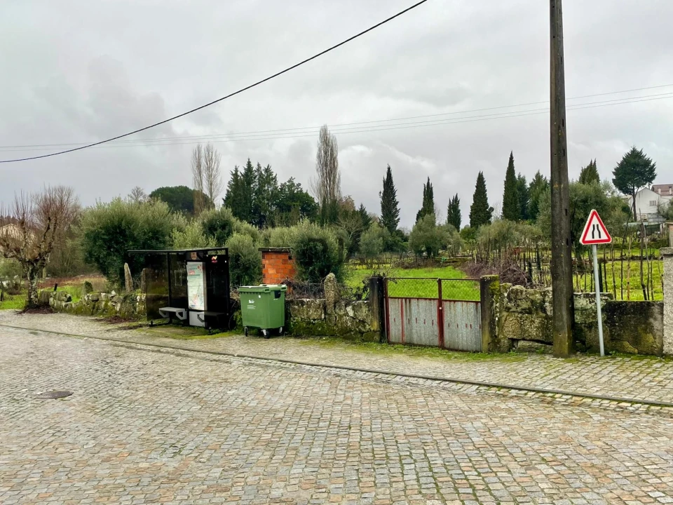 Terreno Agricola ou Rústico para Venda em Santar e Moreira Foto 3