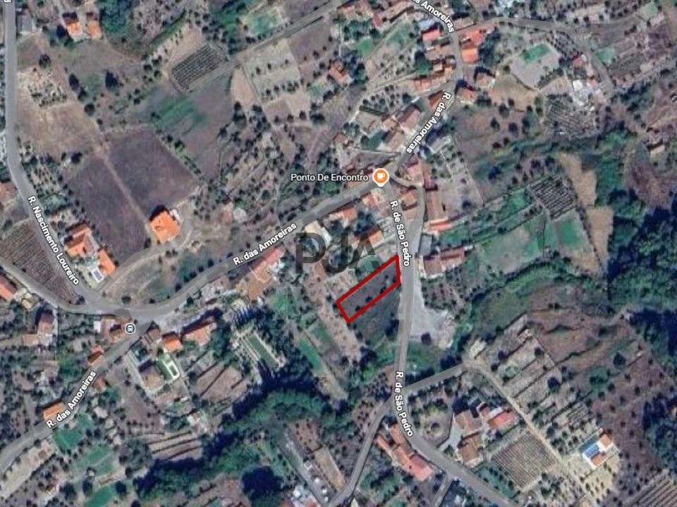 Terreno Agricola ou Rústico para Venda em Santar e Moreira Foto 6