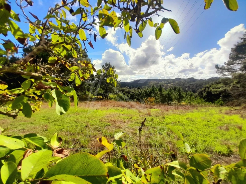 Terreno Misto para Venda em A dos Negros Foto 8