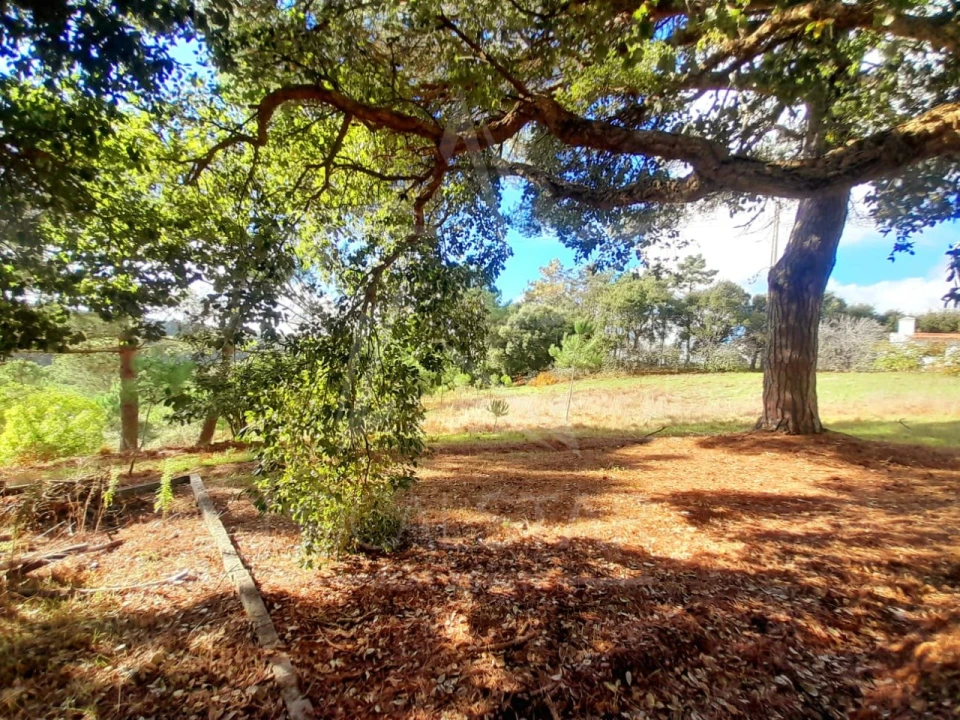 Terreno Misto para Venda em A dos Negros Foto 11