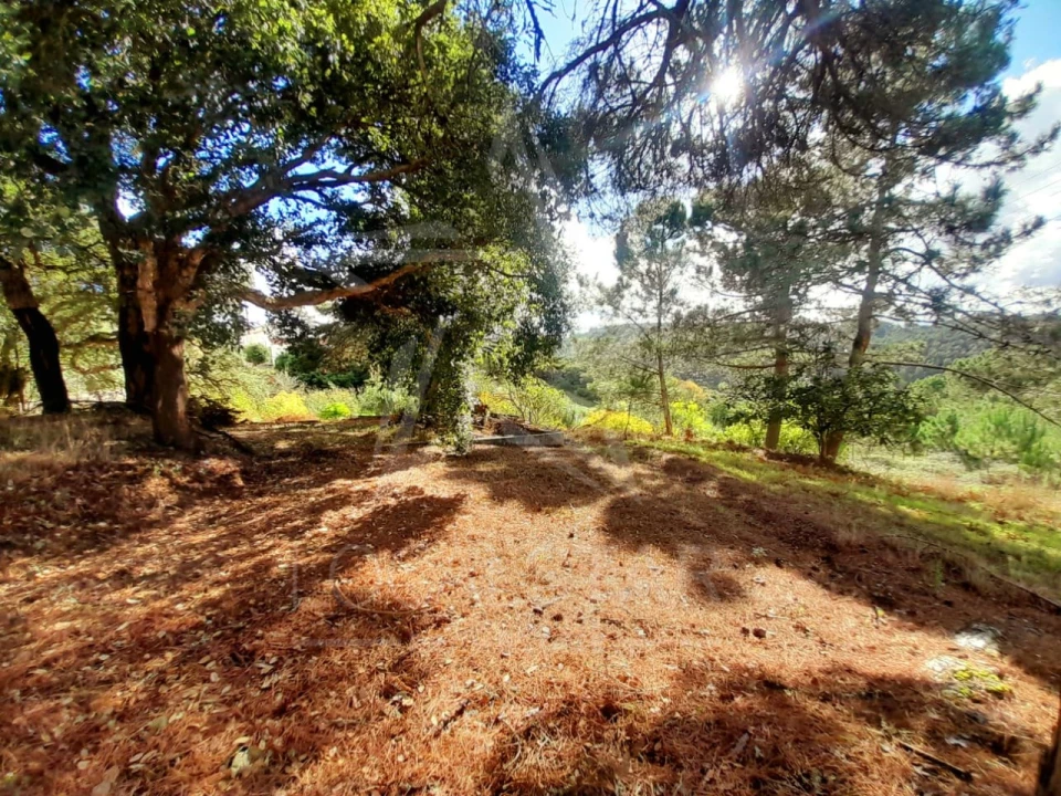 Terreno Misto para Venda em A dos Negros Foto 12