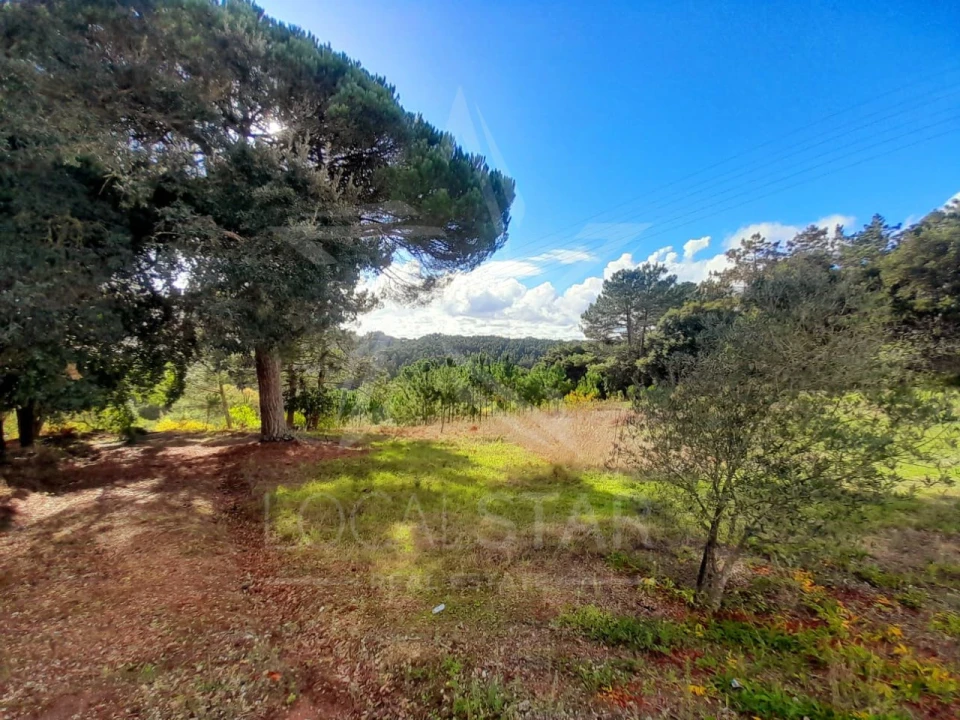 Terreno Misto para Venda em A dos Negros Foto 6