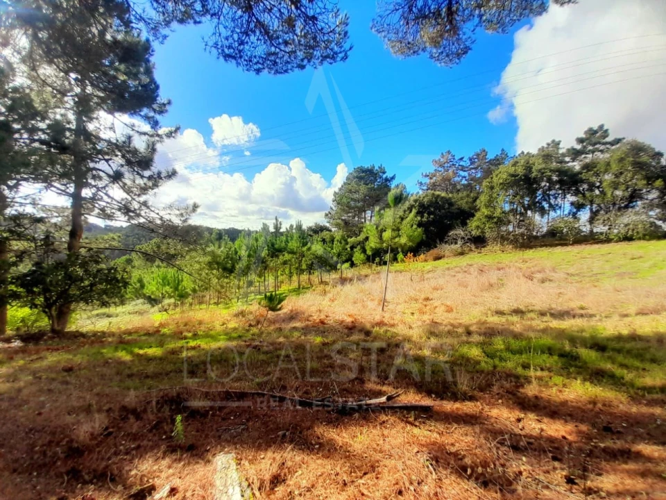 Terreno Misto para Venda em A dos Negros Foto 1