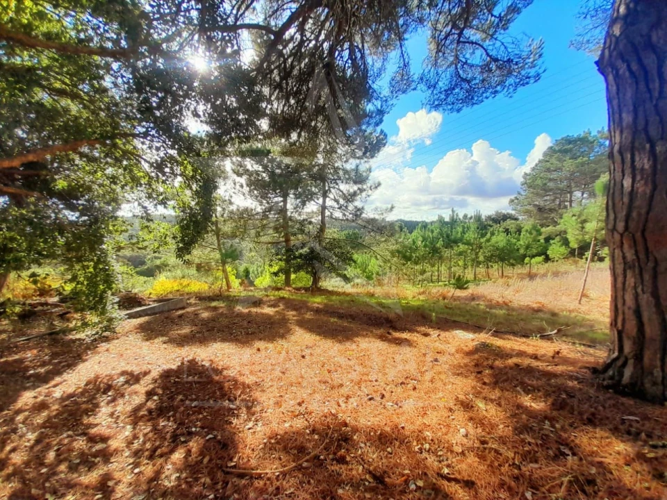 Terreno Misto para Venda em A dos Negros Foto 16