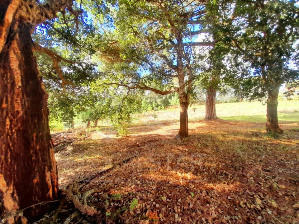 Terreno Misto para Venda em A dos Negros Foto 18