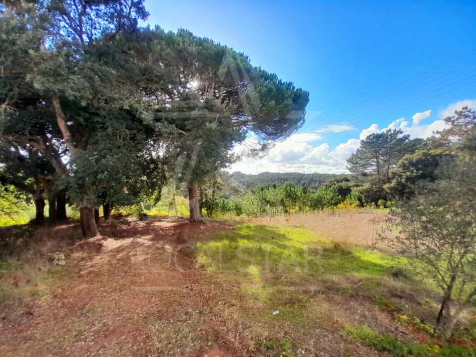 Terreno Misto para Venda em A dos Negros Foto 2